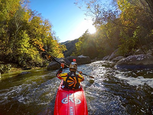 GoPro Floaty Backdoor