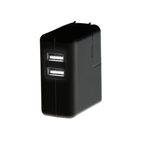 GoPro Wall Charger (GoPro Official Accessory)