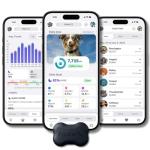 FitBark Two Dog Activity Monitor - Black