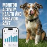 FitBark Two Dog Activity Monitor - Black