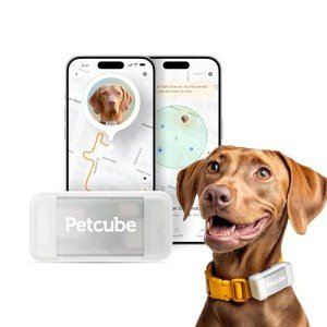 Petcube GPS Tracker for Dogs with Escape Alerts