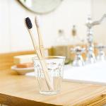 Eco-Friendly Cleaning Brushes for a Sustainable Home