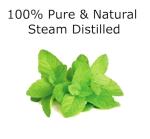 Peppermint Essential Oil in Stylish Glass Bottle