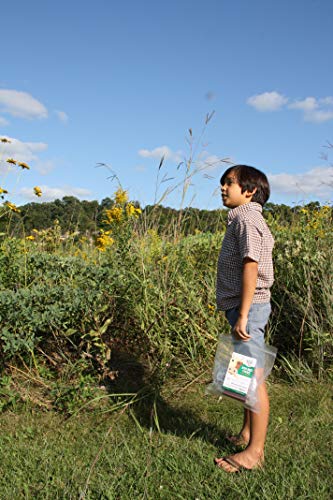 TASTY Grass-Fed Beef Bars Gluten Free MSG Free Nitrate/Nitrite Free Paleo Friendly