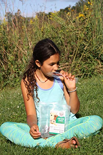 TASTY Grass-Fed Beef Bars Gluten Free MSG Free Nitrate/Nitrite Free Paleo Friendly