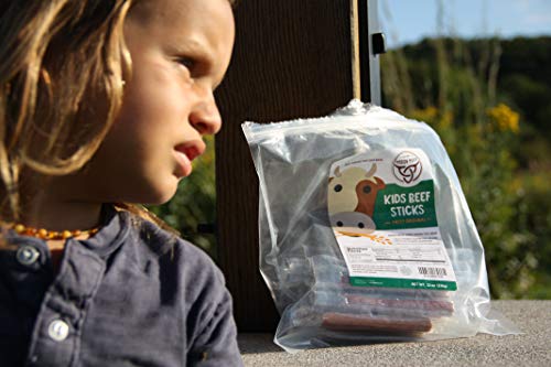 TASTY Grass-Fed Beef Bars Gluten Free MSG Free Nitrate/Nitrite Free Paleo Friendly