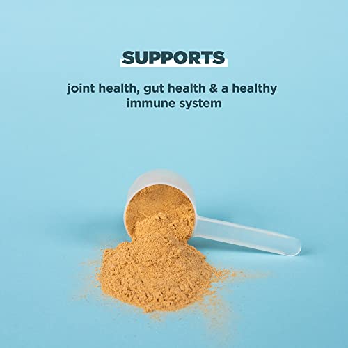 Real Bone Broth Protein Powder: Turmeric, 20g Per Serving