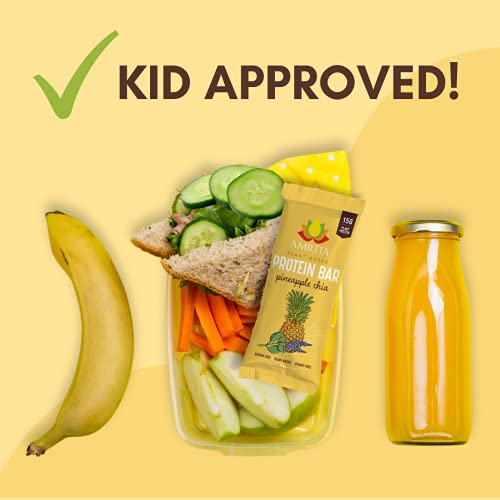 AMRITA Plant Based Protein Bars, Pineapple Chia (12 bars, 2.12oz), Vegan, No Added Sugar, Gluten free, Peanut Free, Paleo, Soy Free, Kids School Snack, Non-GMO, Meal replacement, No Sugar Alcohols