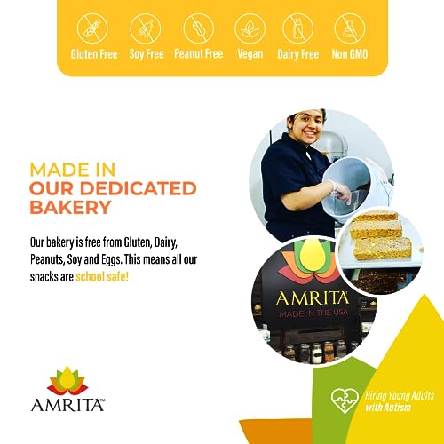 Amrita Mango Coconut Vegan, Gluten Free High Protein Bars | 15g Plant Based Protein, High Fiber, Peanut & Dairy Free | Breakfast Bar, Meal Replacement, Healthy Snack | 2.12 oz Bars, Pack of 12