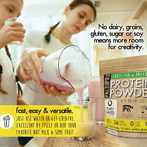 PaleoPro Protein Powder, Gluten Free, Dairy Free, Whey Free, Soy Free, No Added Hormones, Pastured Grass-fed Beef, Minimally Processed Paleo Ingredients, 1lb/454g, About 15 Servings, Mayan Mocha