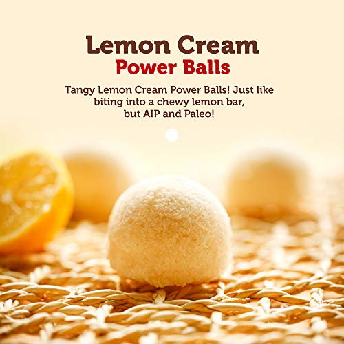 Paleo Angel Power Balls Healthy Paleo Approved Gluten Free AIP Protein Snack Bars (Lemon Cream 4-Pack)