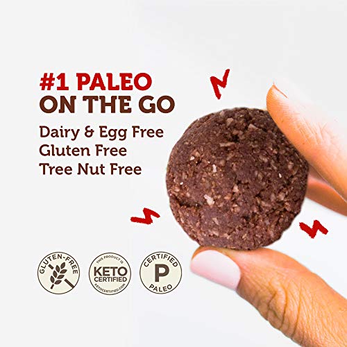 Paleo Angel Power Balls Healthy Paleo Approved Gluten Free Protein Snack Bars (Chocolate 4-Pack)
