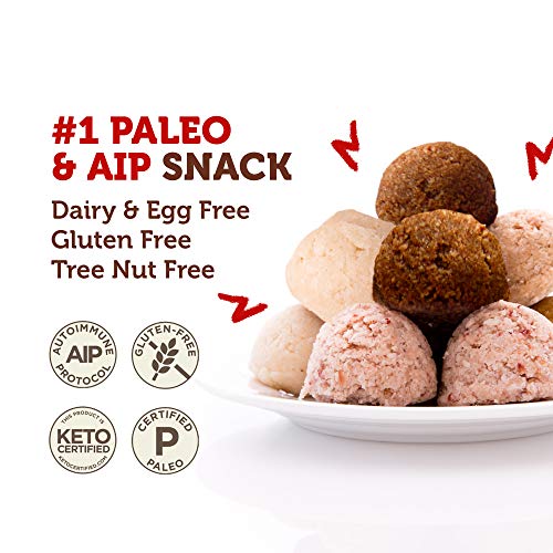Paleo Angel Power Balls Healthy Paleo Approved Gluten Free AIP Protein Snack Bars (AIP Variety 4-Pack)