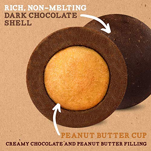 TRAIL TRUFFLES – Dark Chocolate Nut-Butter Filled Protein Bites – Healthy, Plant Based, Gluten Free, Dairy Free, Soy Free, Non-GMO Snacks (Peanut Butter, 4 Pack)