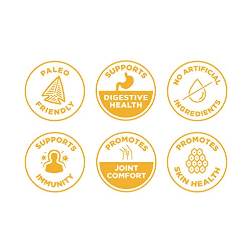 Turmeric Flavor Ancient Nutrition Bone Broth Protein Powder