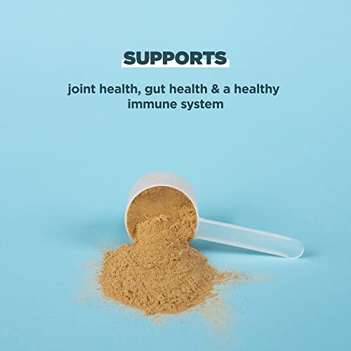 Real Bone Broth Protein Powder, Chocolate Flavor