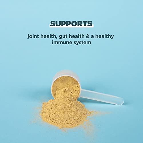 Vanilla Protein Powder with Real Chicken and Beef Bone Broth