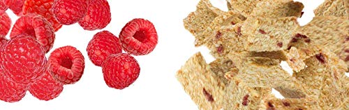 Tutti Gourmet Gluten Free Snacks Bites (Fruits) - No Added Sugar - (3 Pack) 3 x 2.8 oz - Paleo Snacks - Vegan Snacks - Healthy Snacks - Great For Lunch Boxes