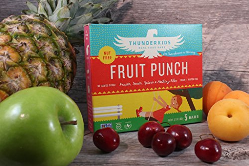 Thunderkids Paleo and Vegan Snacks - Real Food Kids Bars - Box of 5 - No Added Sugar, Grain and Gluten Free, Whole 30, Non-GMO (Fruit Punch)
