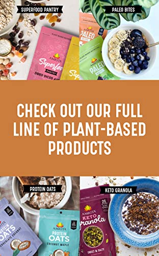 Amrita Apple Cinnamon Vegan, Gluten Free High Protein Bars | 15g Plant Based Protein, High Fiber, Peanut & Dairy Free | Breakfast Bar, Meal Replacement, Healthy Snack | 2.12 oz Bars, Pack of 12