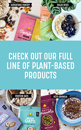 Amrita Chocolate Chip Coconut Vegan, Gluten Free High Protein Bars | 15g Plant Based Protein, High Fiber, Peanut & Dairy Free | Breakfast Bar, Meal Replacement, Healthy Snack | 2.12 oz Bars, Pack of 12