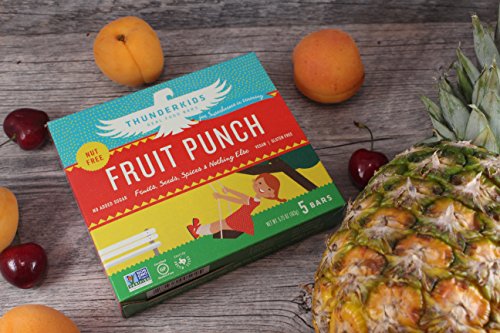 Thunderkids Paleo and Vegan Snacks - Real Food Kids Bars - Box of 5 - No Added Sugar, Grain and Gluten Free, Whole 30, Non-GMO (Fruit Punch)