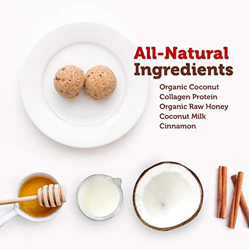 Paleo Angel Power Balls Healthy Paleo Approved Gluten Free AIP Protein Snack Bars (4 Pack) (Snickerdoodle)
