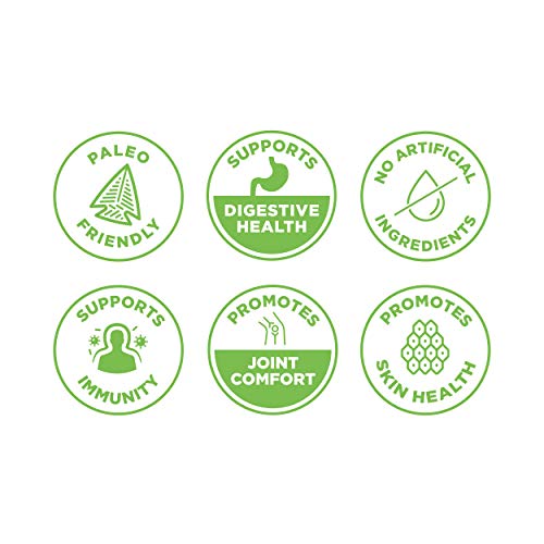 Ancient Nutrition Pineapple Greens Protein Powder - 20 Servings