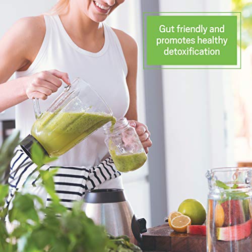 Ancient Nutrition Pineapple Greens Protein Powder - 20 Servings