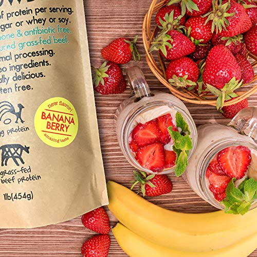 PaleoPro - Paleo Protein Powder - Gluten Free, no Dairy, no whey, no Soy, pastured Grass-fed Beef, no Added Hormones, Minimal Processing, Paleo Ingredients, Delicious Taste - 1lb/454g