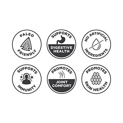 Ancient Nutrition Bone Broth Protein, Banana Creme Flavor