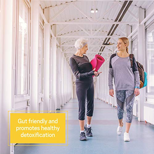 Ancient Nutrition Bone Broth Protein, Banana Creme Flavor