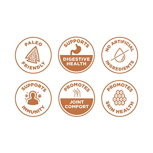 Zesty Ancient Nutrition Bone Broth Protein Powder, 20g