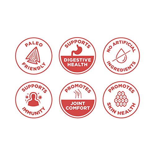 Ancient Nutrition Bone Broth Protein Powder - Cinnamon Apple (20 servings)