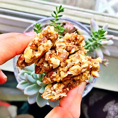 Simple Squares Paleo Protein Bars | Non GMO, Organic, No Dairy, Low Carb, Gluten Free Paleo Snacks | Naturally Made Breakfast Bars Gluten Free Snacks (Ginger Nuts & Honey - 12 Pack)