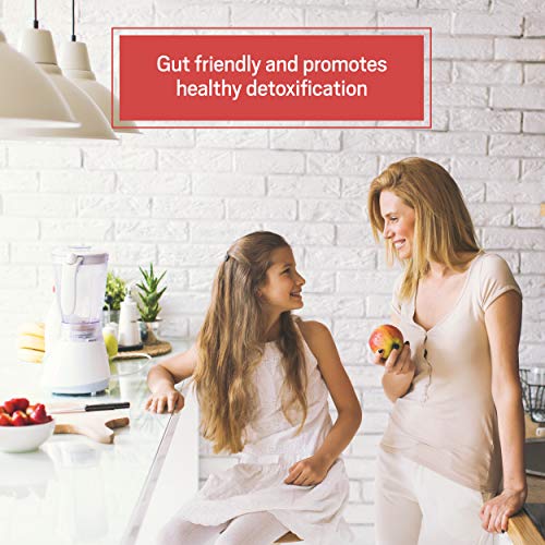 Ancient Nutrition Bone Broth Protein Powder - Cinnamon Apple (20 servings)