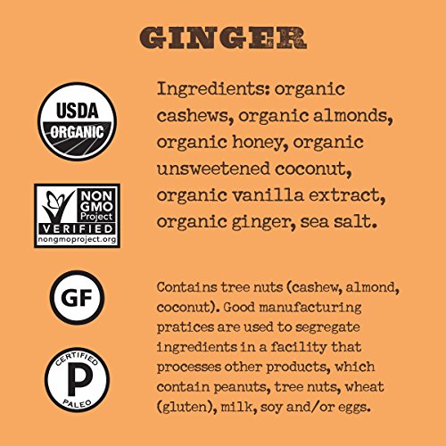 Simple Squares Paleo Protein Bars | Non GMO, Organic, No Dairy, Low Carb, Gluten Free Paleo Snacks | Naturally Made Breakfast Bars Gluten Free Snacks (Ginger Nuts & Honey - 12 Pack)