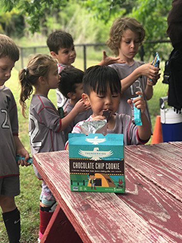 Thunderkids Paleo and Vegan Snacks - Real Food Kids Bars - Box of 5 - No Added Sugar, Grain and Gluten Free, Whole 30, Non-GMO (Chocolate Chip Cookie)
