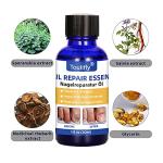 ELAN Premium Paleo Nut Granola, Low Carb Keto Diet Friendly Snacks, Healthy Grain Free Breakfast Cereal & Trail Mix To Go (Cashew Macadamia Brazil Nuts, 12 Pack Shot Bags)