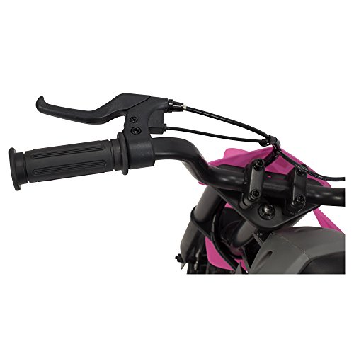 Pulse Performance Products Em-1000 E-Motorcycle