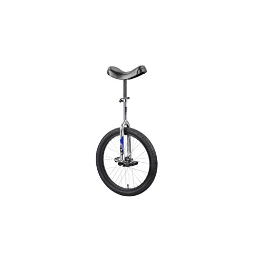 Sun 24 Inch Classic Chrome/Black Unicycle