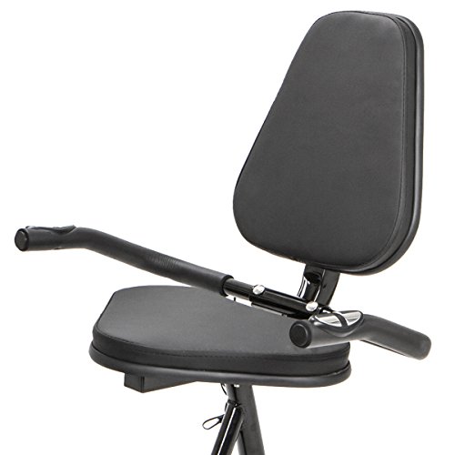XtremepowerUS Deluxe Recumbent Fitness Exercise Bike 8 Level Magnetic Adjustable Resistance Cushion Seat Pulse Grip, Black
