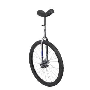 Sun 28 Inch Classic Chrome/Black Unicycle