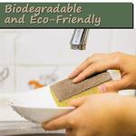 Eco-Friendly Natural Sponge for Sustainable Cleaning