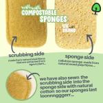 ecoME Biodegradable Cellulose Kitchen Sponges - 10 Pack