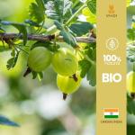 Snadi Organic Amla Powder for Healthy Hair