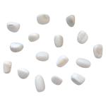 Mother of Pearl Tumblestone - Calming Gemstone