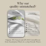 Eucalyptus Tencel Flat Sheet – Ultra-Soft Super King