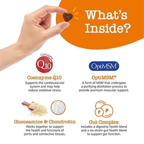 Cute Hooded Fleece Set for Kids