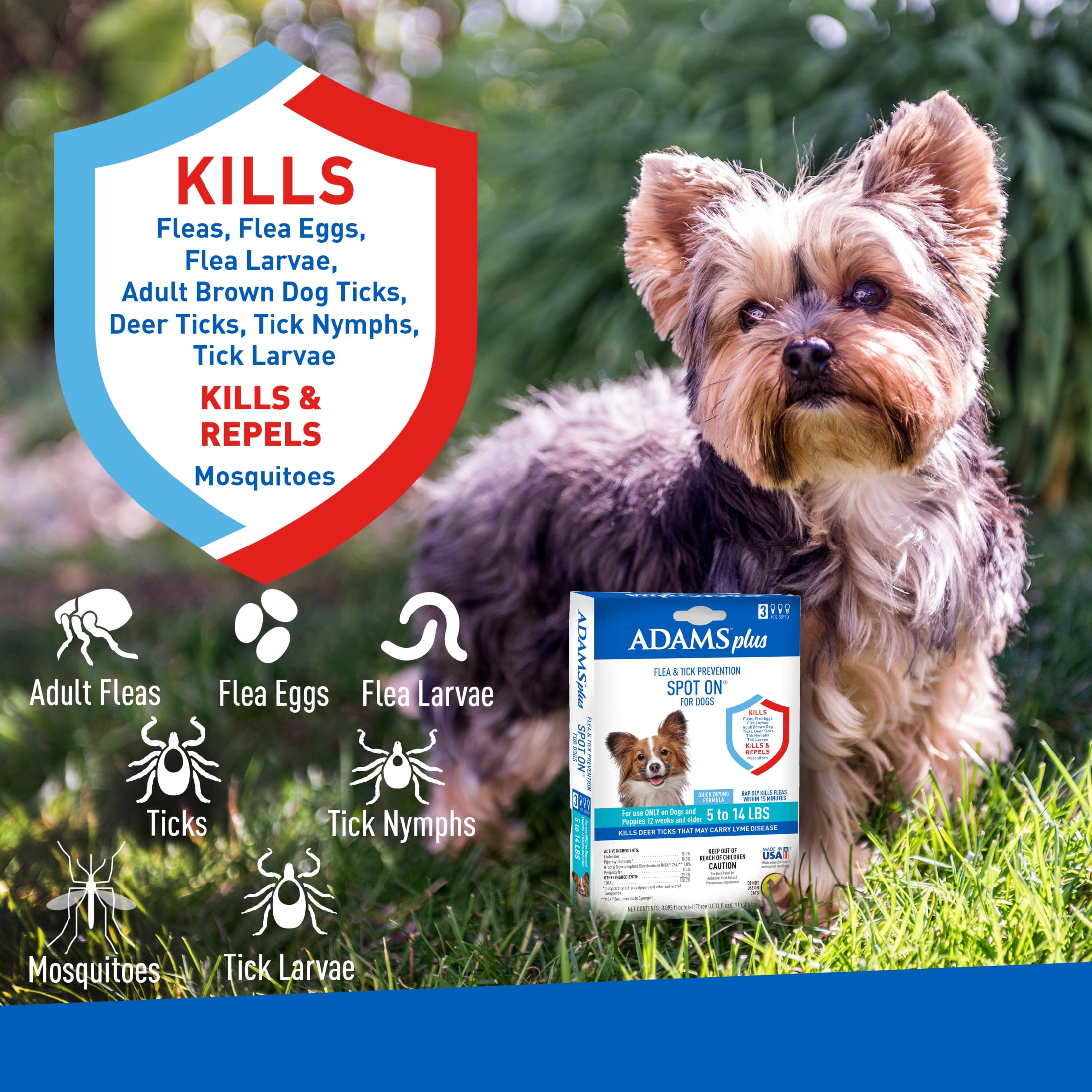 Adams Plus Flea & Tick Treatment for Small Dogs